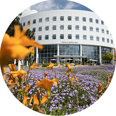 Best Online Programs - U.S. News & World Report Rankings