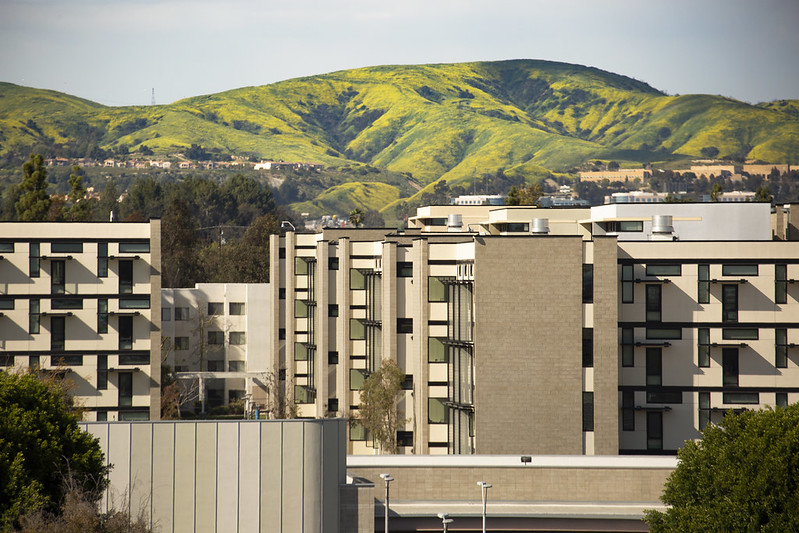 Residence Halls in Spring